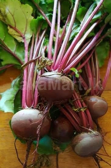 Beetroot bunch